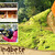[Imagen:¡Paga $80 en lugar de $160 por Estadía de 1 noche en Cabaña para 6 personas + 4 cenas+ Tour al Bosque + Fogata Nocturna + Karaoke + Juegos de Mesa + 150 paintballs + 3 Equipos de Paintball en El Pinabete, Chalatenango! ¡SÓLO 103 CUPONES DISPONIBLES!]