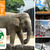 [Imagen:¡Paga $27 en lugar de $55 por Tour Guiado a Guatemala que incluye visita a Zoológico de la Aurora, Oakland Mall y Paseo Cayalá + Asistencia Migratoria + Snacks con Travel Connections! ¡Sólo 147 cupones disponibles!]