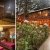 [Imagen:¡Escapada con Clima Fresco! ¡Paga $37 en Lugar de $77 por Estadía de 1 Noche para 4 Personas en Habitación Doble + 2 Desayunos Típicos en Hotel y Restaurante La Posada del Cielo en El Pital, Chalatenango!]
