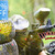 [Imagen:¡Paga Q35 en lugar de Q75 por Paquete de Paintball (Kit de 75 Pulgas) que incluye: 75 Paintballs + Marcadora + Tanque CO2 + Máscara + Hooper + Chaleco Protector + Jersey en Bulldog Paintball Park!]