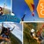 [Imagen:¡Paga $42.50 en lugar de $85 por: Vuelo de Parapente con remolque en la Costa del Sol, San Diego o La Libertad gracias a El Salvador Parapente!]