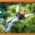 [Imagen:¡Paga $10 en vez de $25 por Recorrido Extremo de Canopy en Adventure Park, Tuscania!]