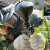 [Imagen:60% OFF en Paintball Navarra! Incluye: entrada al campo, alquiler de equipo por hasta 5 personas y 500 balas!]