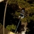 [Imagen:50% OFF en dos saltos de puenting con Guanatours y Tour503 ($18 en vez de $36)!]