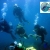 [Imagen:60% OFF un curso de buceo Discover Scuba Diving en el Lago de Coatepeque con Scuba Adventures ($36 en vez de $90)! No se requiere licencia para participar!]