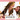 [Imagen:¡Paga $23 en lugar de $99 por Sesión Fotográfica Profesional o FunShoot + Impresiones + CD con las mejores fotografías de la Sesión (Editadas) y Más en Jerryfolio Photo Studio! Recibe 50% OFF en Jagüey Spa]
