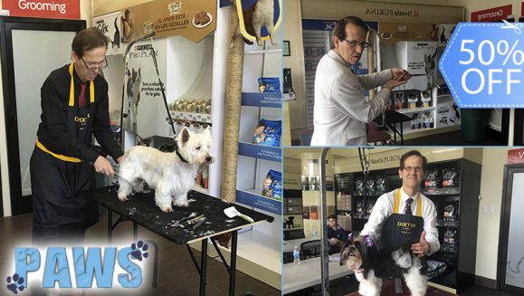 [Imagen:¡Paga Q750 en lugar de Q1,500 por Curso Profesional de Grooming para Mascotas Impartido por Conferencista Internacional y Juez de Concursos de Belleza Canina + Diploma + Kit de Regalo!]