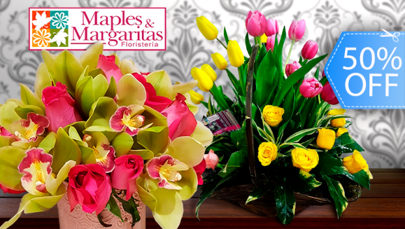 [Image: ¡Paga Q499 en lugar de Q1,000 por Arreglo Floral de Lujo a Elección: A) Romance Tulipanes con 20 Tulipanes y 2 Docenas de Rosas o B) Holland Love con 2 Tallos de Orquídeas y 2 Docenas de Rosas!m]