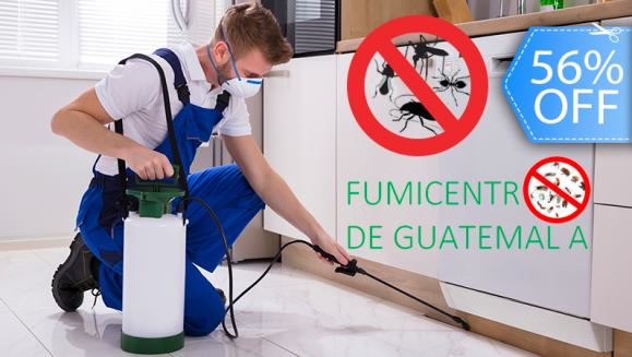 [Image: ¡Paga Q349 en vez de Q795 por Fumigación de Plagas en 15 Ambientes + Tratamiento en Gel en Cocina + Control de Zancudos + Tratamiento para Drenajes + Aplicación de Abono + Tratamiento de Ácaros en 2 Colchones + Lavado de 6 Sillas de Comedor y Más!m]