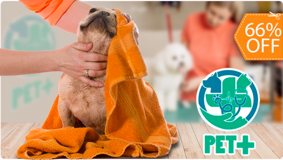[Image: ¡Paga $12 en Lugar de $35 por Grooming para Tu Perro que Incluye: Baño, Limado y Corte de Uñas, Limpieza de Oídos y Glándulas Anales, Cepillado de Dientes, Perfume, Moño o Pañoleta + Desparasitación Oral e Inyectada!m]