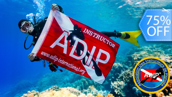 [Image: ¡Paga Q799 en vez de Q3,200 por Curso de Buceo “1 ESTRELLA” ADIP INTERNATIONAL de 30 Horas con: Clases Teóricas en Línea + Inmersión en Piscina + Instrucción en 4 Buceos en Aguas Abiertas + Licencia ADIP INTERNACIONAL + Diploma ORIGINAL y Más!m]