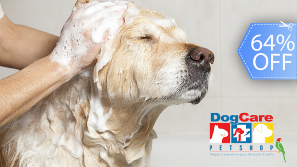 [Image: ¡Paga Q99 en vez de Q275 por Grooming para tu Mascota: Baño Antipulgas + Corte + Cepillado + Limpieza de Glándulas + Corte y Limado de Uñas + Limpieza y Depilación de Oídos + Pipeta Antipulgas y Garrapatas y Más! ¡Razas Pequeñas, Medianas y Grandes!m]