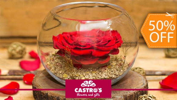 Castro's Flowers & Gifts | Rosa Grande Preservada...