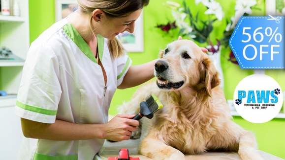 Image of Grooming Completo para tu Mascota ¡Sin Restricción de Tamaño! 