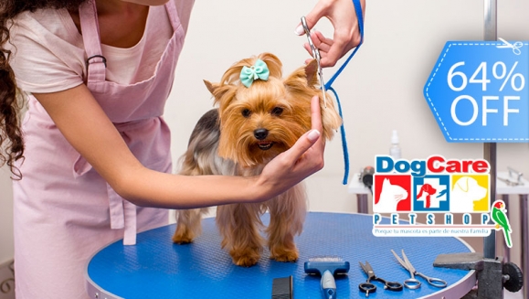 [Image: ¡Paga Q99 en vez de Q275 por Grooming para tu Mascota: Baño Antipulgas + Corte + Cepillado + Limpieza de Glándulas + Corte y Limado de Uñas + Limpieza y Depilación de Oídos + Pipeta Antipulgas y Garrapatas + Desparasitante! ¡Razas Pequeñas- Medianas!m]
