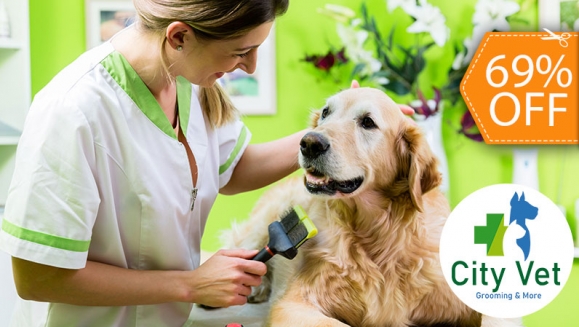 [Image: ¡Paga $10 en Lugar de $32 por Grooming para Mascota: Baño + Limpieza de Oídos + Limpieza de Glándulas Anales + Corte o Limado de Uñas + Desparasitante + Cepillado de Dientes + Juguete + Pañoleta o Moño + Perfumado!m]
