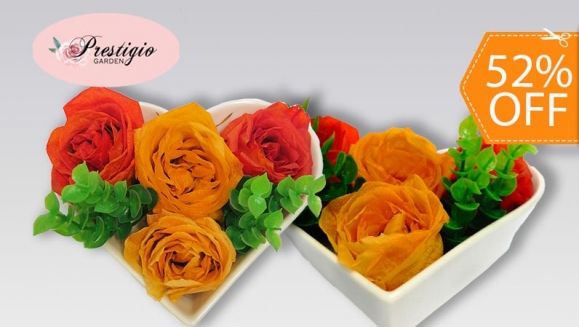 [Image: ¡Paga $23 en Lugar de $48 por Hermoso Arreglo de 4 Rosas Preservadas en Base de Corazón!m]
