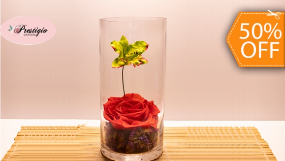 [Imagen:¡Paga $20 en Lugar de $40 por Delicado Arreglo de 1 Rosa Preservada Tamaño XL + 1 Orquídea Artificial en Base Cilíndrica de Cristal!]