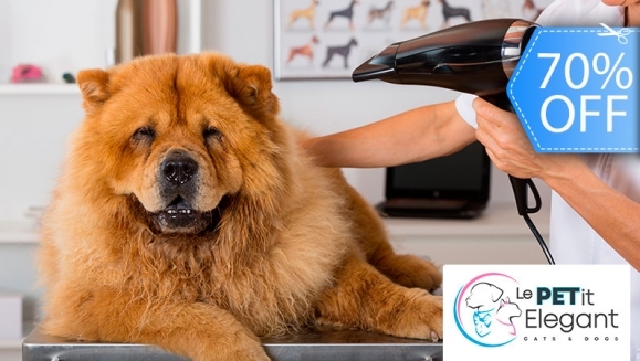 [Image: ¡Sin Restricción de Tamaño! ¡Paga Q135 en Lugar de Q450 por Grooming para Mascota con: Baño Medicado Antipulgas y Antigarrapatas + Corte de Pelo + Limado de Uñas + Limpieza de Glándulas y Oídos + Cepillado de Dientes + Desparasitante y Más!m]