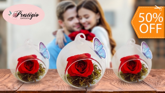 [Image: ¡Paga $12 en Lugar de $24 por Lindo Arreglo de 1 Rosa Preservada en Esfera de Cristal!m]