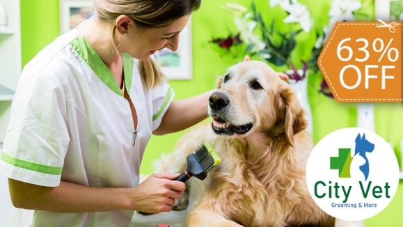 [Image: ¡Paga $12 en Lugar de $32 por Grooming para Mascota: Baño + Limpieza de Oídos + Limpieza de Glándulas Anales + Limado o Corte de Uñas + Desparasitante + Cepillado de Dientes + Pañoleta o Moño + Perfumado!m]