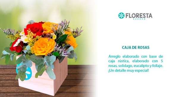 [Image: ¡Paga Q125 en lugar de Q250 por Detalle Floral a Elección entre: Luz de Amor (5 rosas sobre candelero de cristal) o Caja de Rosas (5 rosas en caja de madera rustica)!m]