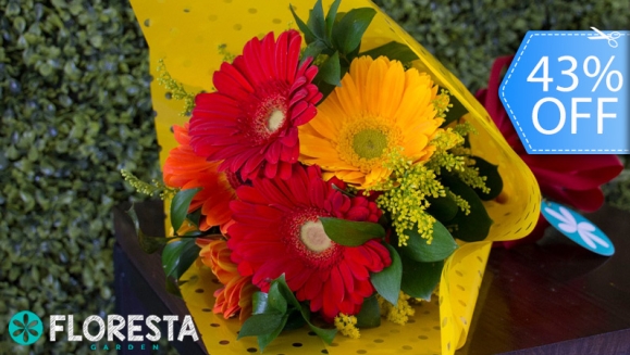 Floresta Garden | ¡Ideal para Mamá! Ramo de Gerberas de...