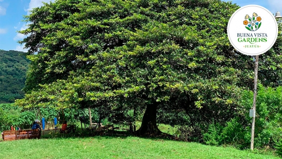 [Image: ¡Paga $17 en Vez de $39.98 por Camping para 2 que Incluye: 2 Entradas al Ecoparque + Tienda de Campaña + Colchoneta + Fogata + Guía de Senderismo + Entrada a Vivero + Mini-Tour de Café + Uso de Juegos de Madera y Cuerda, Columpios y Piscina!m]