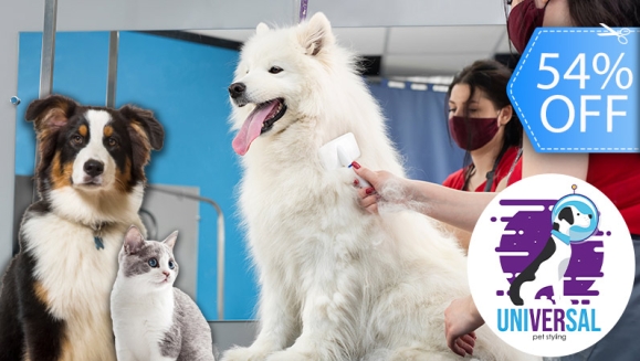 [Image: ¡Paga Q150 en vez de Q325 por Grooming para Tu Perro o Gato: Baño Antipulgas + Corte + Cepillado + Limpieza de Glándulas + Corte y Limado de Uñas + Limpieza y Depilación de Oídos + Cepillado de Dientes y Más! ¡Pequeño, Mediano y Grande!m]