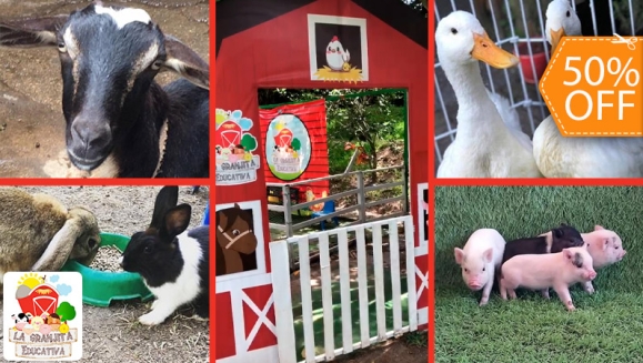 [Image: ¡Paga $10 en Lugar de $20 por 4 Entradas a la Granjita Educativa “Mi Pet Zoo”: Visita a Los Corrales, Ordeño en Vaca Simuladora, Interacción con Cuyos, Conejos, Minipigs, Patos, Gallinas y Cabra, Comida para Los Animalitos y Playground!m]
