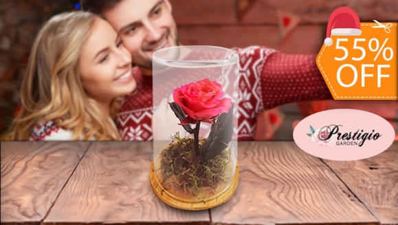 [Image: ¡Paga $18 en Lugar de $40 por Delicada Rosa Preservada en Capsula de Cristal con Base de Madera!m]