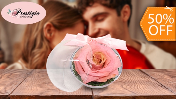 [Image: ¡Paga $10 en Lugar de $20 por Rosa Mediana en Esfera Pequeña de Acrílico!m]