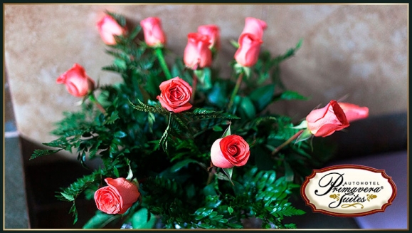 [Image: ¡Romántica Experiencia! ¡Paga Q295 en vez de Q630 por 3 Horas de Alojamiento en Suite de Lujo con Jacuzzi e Hidromasaje + Decoración Deluxe: 1 Docena de Rosas, Velas, Aromaterapia, Baño de Espuma, Globos Rojos + KIT DE AMENIDADES + Vale de descuentom]