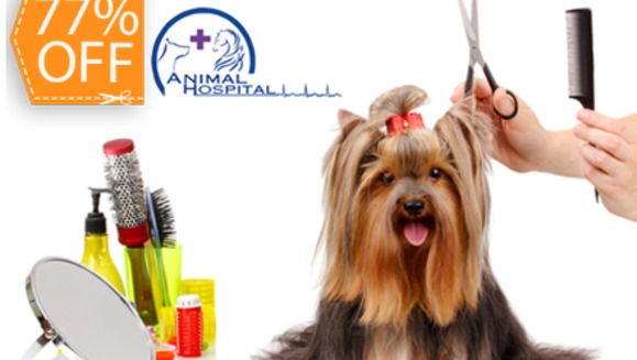 [Image: ¡Paga $15 en lugar de $64 por 3 Paquetes de Grooming Completos para tu mascota en Animal Hospital!m]