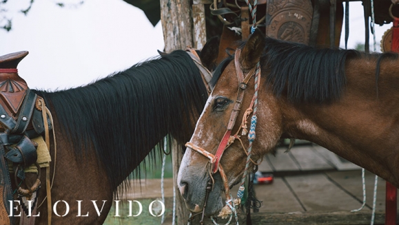 [Image: ¡Paga Q399 en Lugar de Q900 por Estadía de 1 Noche para 4 Personas en Cabaña Equipada con Cocina + Uso de Instalaciones y Actividades de Montaña: Tour a La Piedra del Jardín, Ordeño, Pesca de Tilapia, Piscina Natural y Más!m]