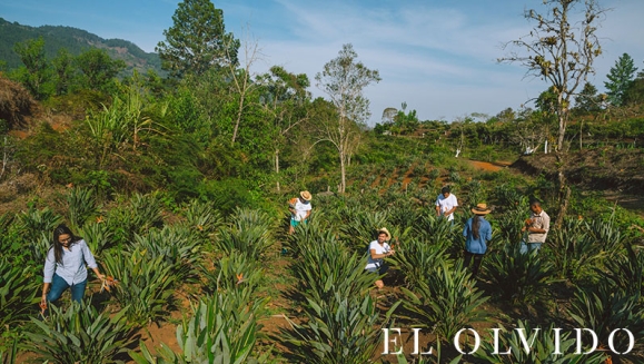 [Image: ¡Paga Q699 en Lugar de Q1,500 por Estadía de 1 Noche para 6-8 Personas en Cabaña Equipada con Cocina + Uso de Instalaciones y Actividades de Montaña: Tour a La Piedra del Jardín, Ordeño, Pesca de Tilapia, Piscina Natural y Más!m]
