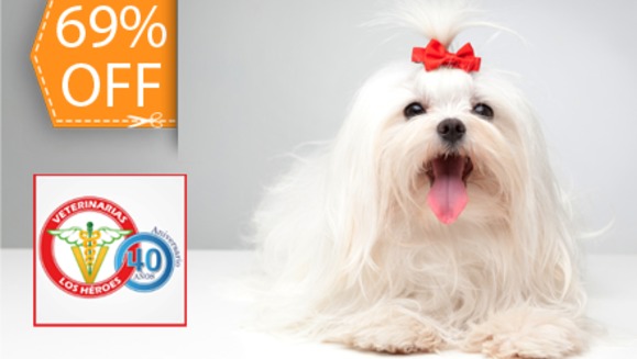 [Image: ¡Paga $19 en lugar de $61 por 1 Grooming Completo (Baño + Limpieza de Glándulas, Limpieza de Oídos, Corte de Uñas) + 1 Vacuna Antirrábica + 1 Pipeta Antipulgas + Desparasitante + Consulta en Veterinaria Los Héroes La Sultana!m]