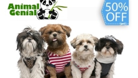 [Image: ¡Paga Q75 en lugar de Q150 por Grooming Completo que incluye: Shampoo Antialérgico + Acondicionador + Corte + Secado y Cepillado + Limpieza de Glándulas y Oídos + Corte de Uñas + Perfumado + Moña ó Corbatín en Animal Genial!m]