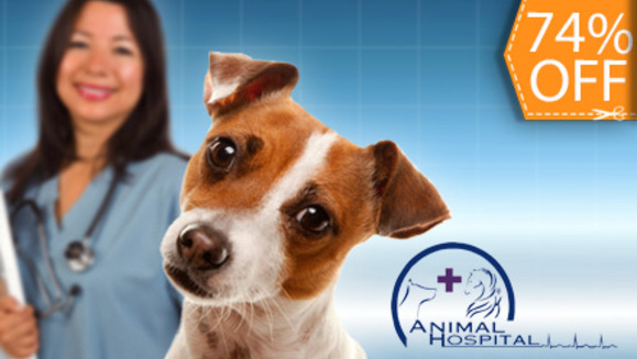 [Image: ¡Mascotas sanas y limpias! ¡Paga $15 en lugar de $56.75 por Chequeo Veterinario + Vacuna Antirrábica + Desparasitación +  Hemograma + Baño y Más en Animal Hospital!m]