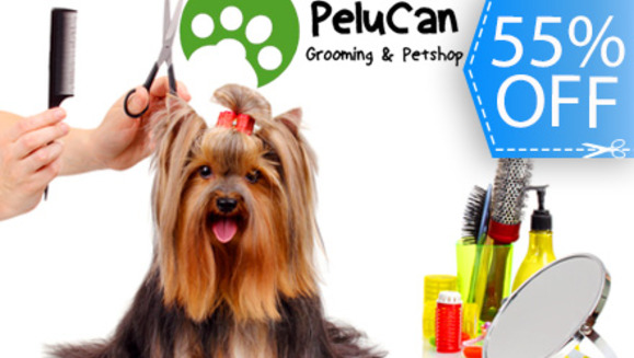 [Image: ¡Paga Q59 en lugar de Q130 por Grooming Completo para tu Mascota que incluye: Baño con Shampoo Anti-Pulgas + Limpieza de Glándulas + Corte de Pelo + Corte de Uñas + Limpieza de Oídos + Perfume + Moña o Pañuelo en PeluCan!m]