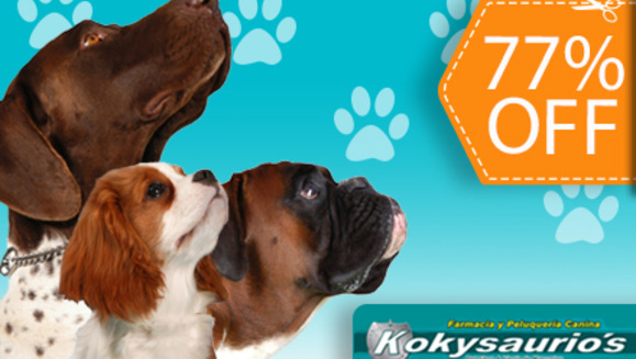 [Image: ¡Paga $15 en lugar de $64 por 3 Paquetes de Grooming Completo + 1 Plaquita Personalizada + 1 Pipeta para tu mascota y más en Kokysaurios Santa Elena!m]