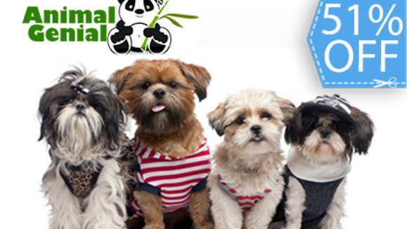 [Image: ¡Paga Q79 en lugar de Q160 por Grooming Completo que incluye: Shampoo Antialérgico + Acondicionador + Corte, Secado y Cepillado + Limpieza de Glándulas y Oídos + Corte de Uñas y Perfumado + Moña o Corbatín + 1 Galletita en Animal Genial!m]