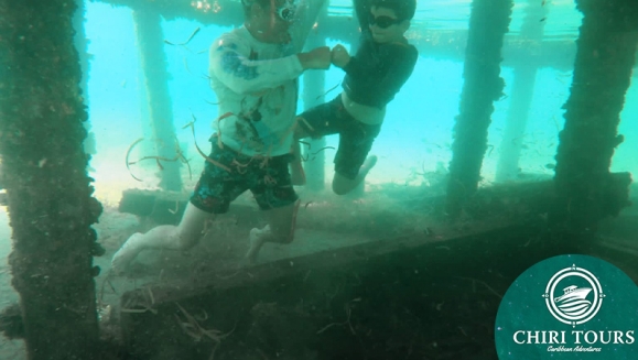 [Image: ¡Paga Q599 en Vez de Q1,300 por Estadía para 2 Adultos y hasta 2 Niños en el Mar Caribe con: 1 Noche en Habitación Doble con A/C, WIFI, TV + Desayunos + Aventuras Acuáticas (Paseo en Lancha a Punta de Palma, Waverunner, Snorkling) + Discoteca!m]