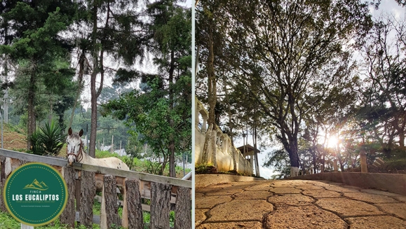 [Image: ¡Paga Q99 en Lugar de Q295 por Camping para 4 con: 4 Desayunos Típicos o de Pancakes + 4 Bebidas a Elección (Café, Jugo de Naranja o Jamaica) + Uso de Instalaciones y Actividades de Montaña: Senderismo, Puentes, Hamacas, Granjita!m]