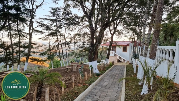 [Image: ¡Paga Q99 en Lugar de Q295 por Camping para 4 con: 4 Desayunos Típicos o de Pancakes + 4 Bebidas a Elección (Café, Jugo de Naranja o Jamaica) + Uso de Instalaciones y Actividades de Montaña: Senderismo, Puentes, Hamacas, Granjita!m]