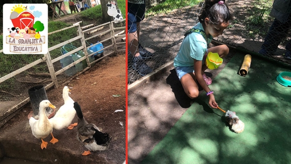 [Image: ¡Paga $10 en Lugar de $20 por 4 Entradas a la Granjita Educativa “Mi Pet Zoo”: Visita a Los Corrales, Ordeño en Vaca Simuladora, Interacción con Cuyos, Conejos, Minipigs, Patos, Gallinas y Cabra, Comida para Los Animalitos y Playground!m]