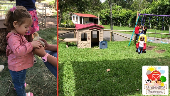 [Image: ¡Paga $10 en Lugar de $20 por 4 Entradas a la Granjita Educativa “Mi Pet Zoo”: Visita a Los Corrales, Ordeño en Vaca Simuladora, Interacción con Cuyos, Conejos, Minipigs, Patos, Gallinas y Cabra, Comida para Los Animalitos y Playground!m]