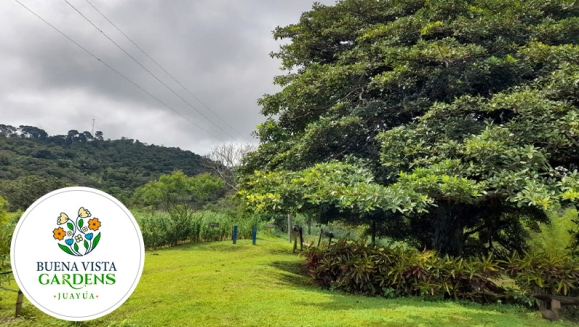 [Image: ¡Paga $30 en Vez de $60 por Camping al Aire Libre para 2 que Incluye: 2 Entradas al Ecoparque + 1 Tienda de Campaña + 2 Colchonetas + 2 Desayunos + 2 Cenas + Fogata + Guía de Senderismo y Tour Básico de Café + Piscina y Más! ¡Solo 103 Disponibles!m]