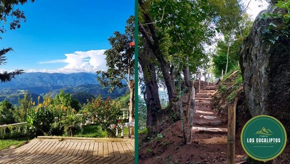 [Image: ¡Paga Q99 en Lugar de Q295 por Camping para 4 con: 4 Desayunos Típicos o de Pancakes + 4 Bebidas a Elección (Café, Jugo de Naranja o Jamaica) + Uso de Instalaciones y Actividades de Montaña: Senderismo, Puentes, Hamacas, Granjita!m]