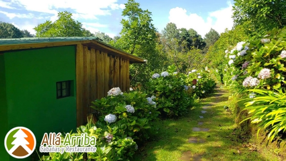 [Image: ¡Paga $55 en Lugar de $105 por 1 Noche en Cabaña para 2 Adultos y 2 Niños o para 3 Adultos + Desayunos + 30 Minutos de Juegos de Mesa + Caminata en Bosque + Visita al Vivero de Hortalizas + Entretenimiento y Más!m]